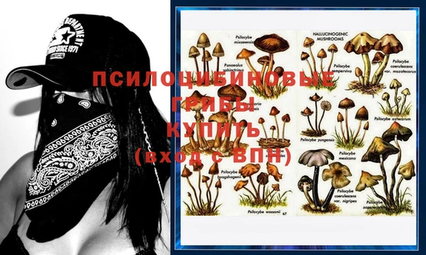 синтетический гашиш Слюдянка