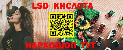 стаф Камышлов