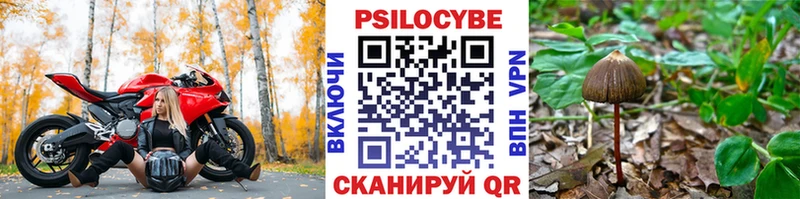 Псилоцибиновые грибы MAGIC MUSHROOMS  Зерноград 