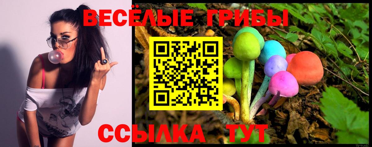 Псилоцибиновые грибы ЛСД Зерноград