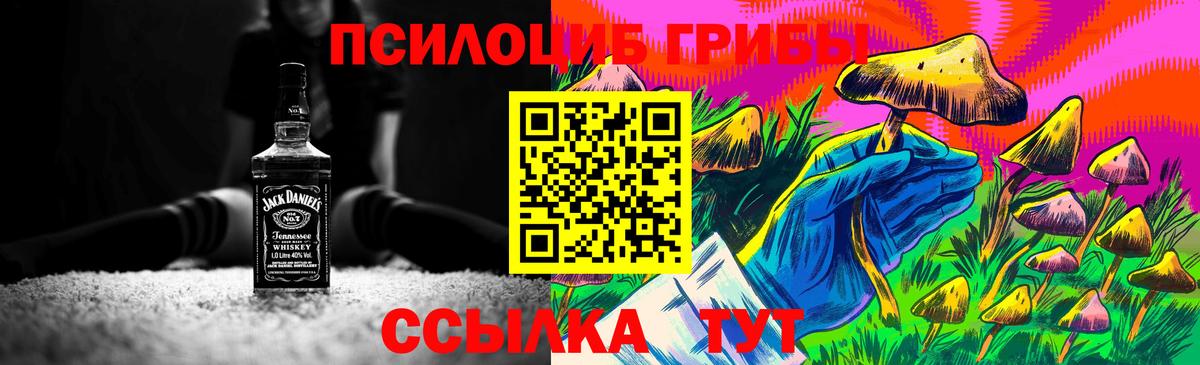 Галлюциногенные грибы Magic Shrooms  как найти закладки  Зерноград  Вход с VPN  Псилоцибиновые грибы MAGIC MUSHROOMS 